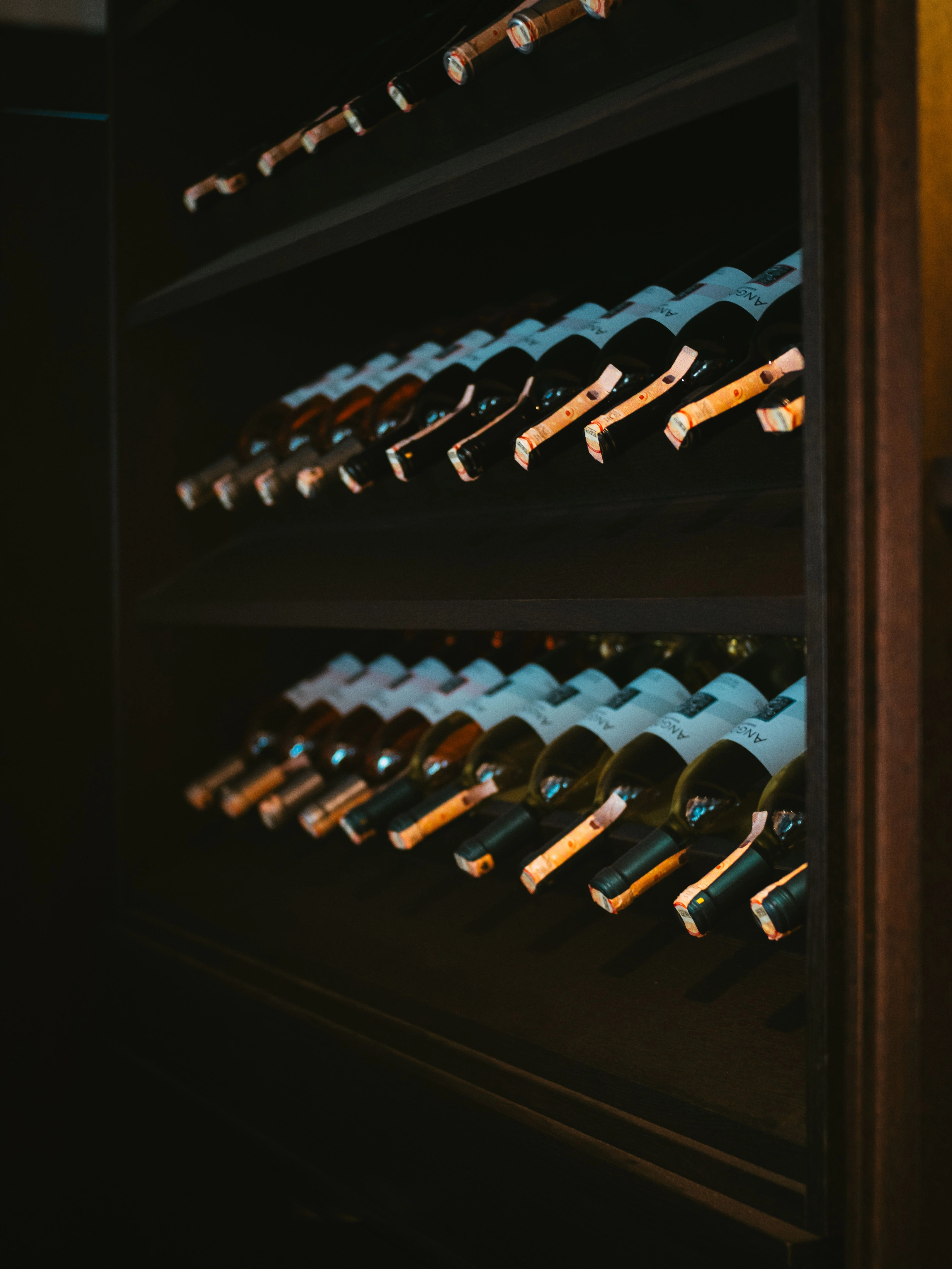 Wine cellar bottles